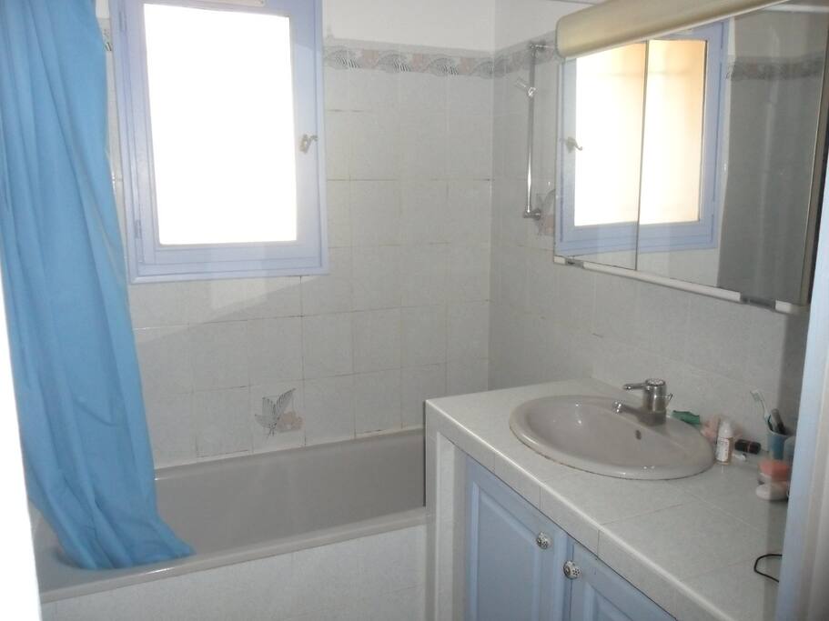 Salle de bain avec baignoir