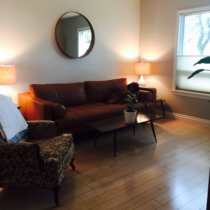 Large living room with cozy new couch.