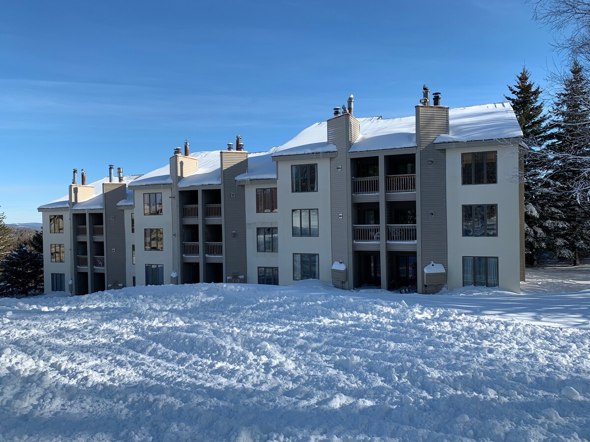A two-level condominium building is shown, featuring several large windows and balconies. Snow blankets the ground, adding to the winter atmosphere. The building's exterior is light-colored, complemented by darker accents. Tall evergreen trees are visible in the background against a clear blue sky.