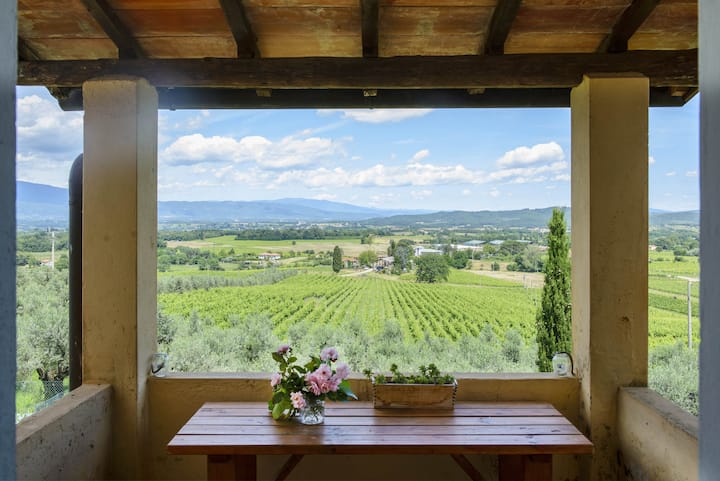 Feriale I. Petrolo Winery. Pool, wi-fi, vineyards
