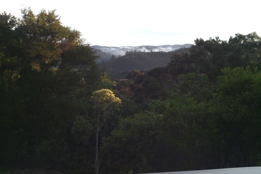 Early morning listening to different bird songs 04:15 am
