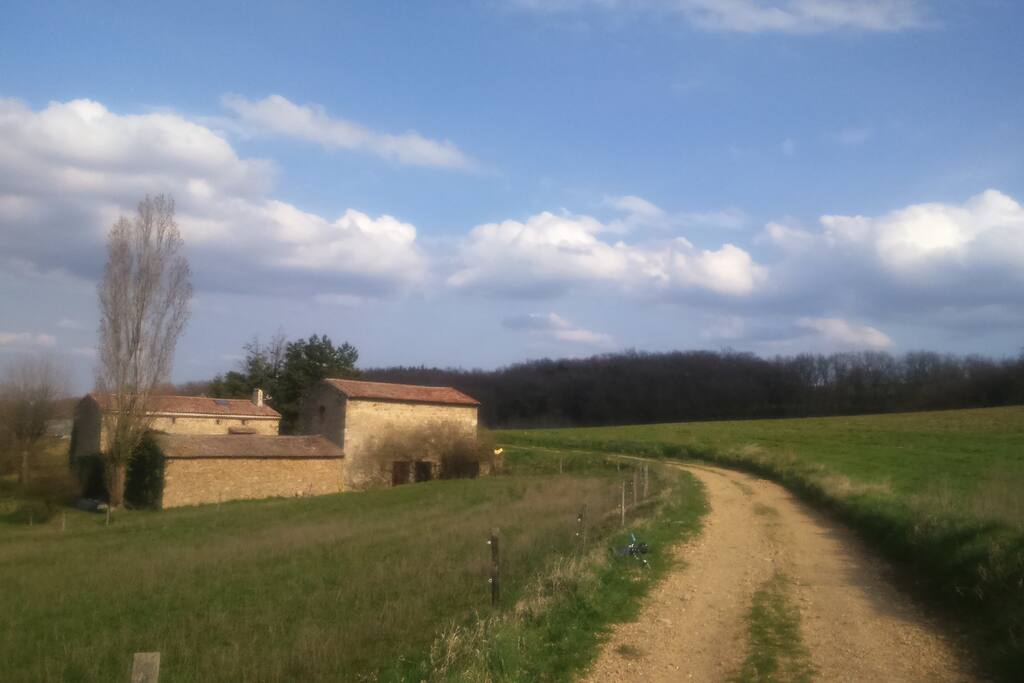 Retour de promenade
