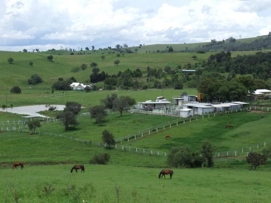 Milford Farm