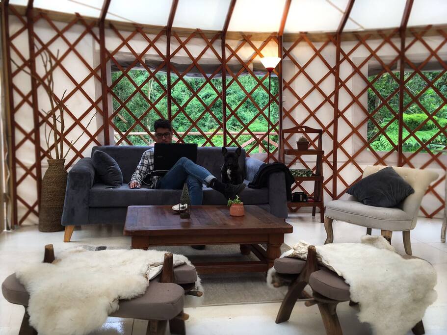 El espacio del living, es cómodo y agradable para leer, trabajar o simplemente estar.