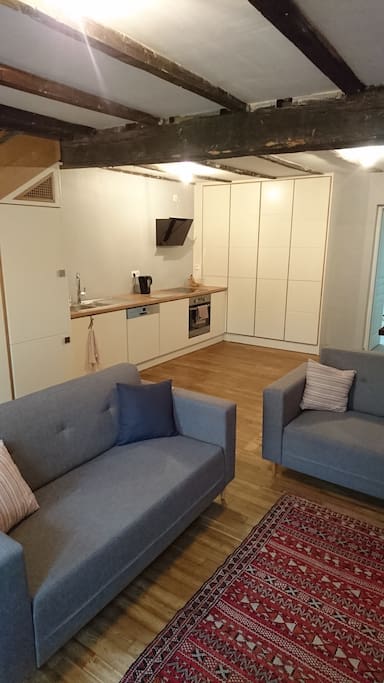 Open-plan living/dining area