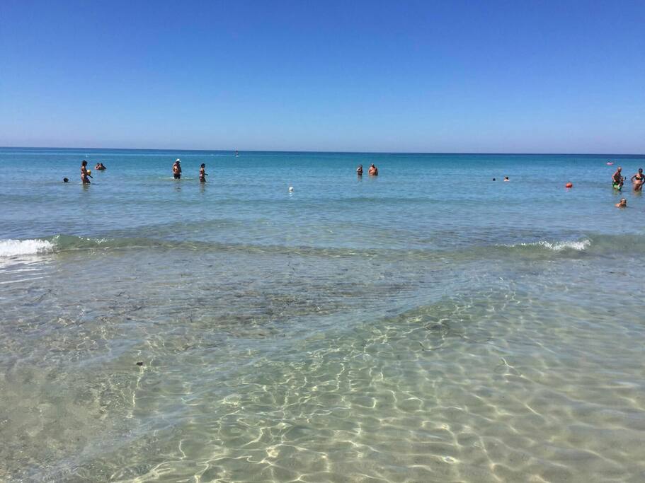 Lido Signorino Marsala
Meno di 10 minuti da casa
