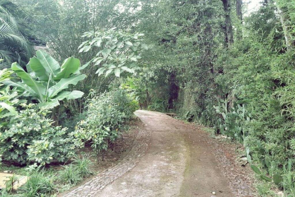 Contacto con la naturaleza, areas verdes