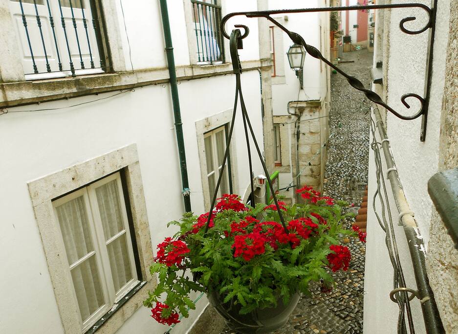 Street View from Bedroom window