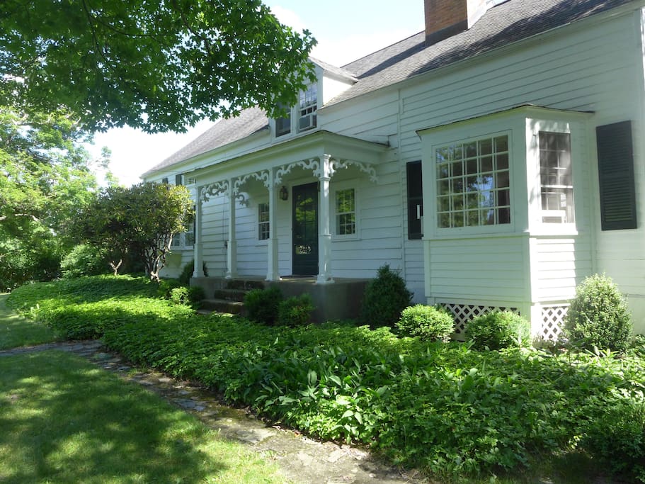 Front yard