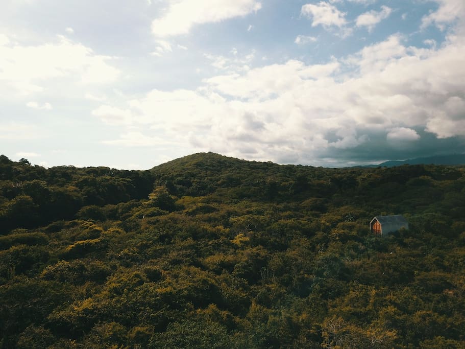 Lost in nature