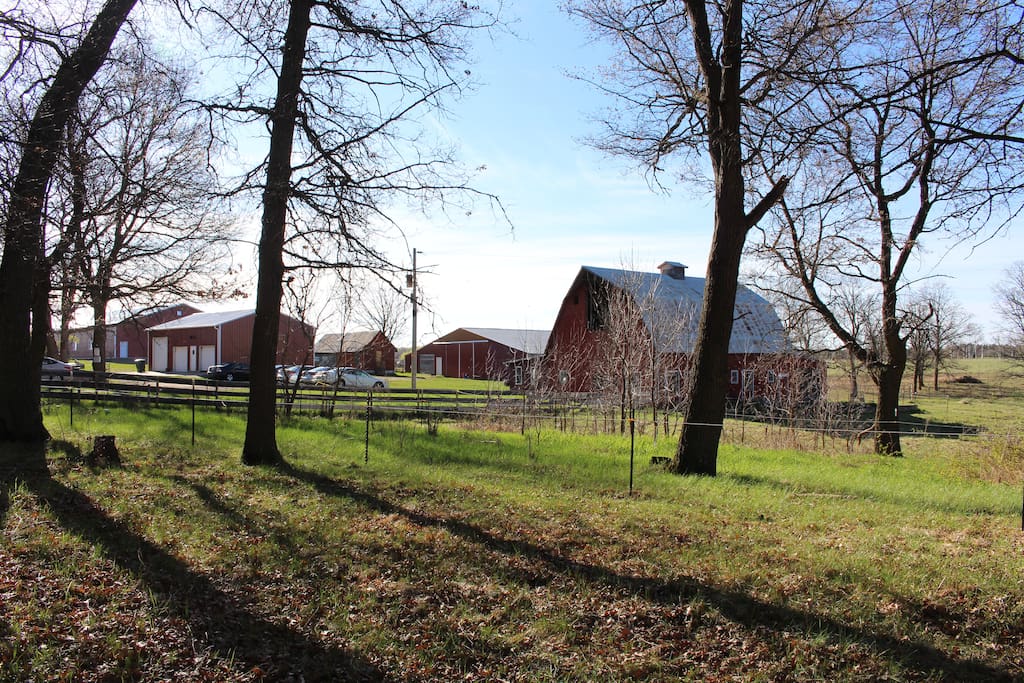 Our sweet little farm.