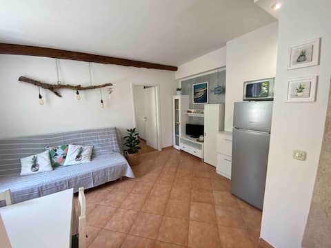 Top performing Airbnb: Casa Zorita II in Grad Rovinj