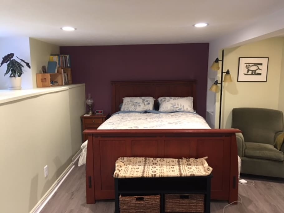 Comfy bed, new Queen matress