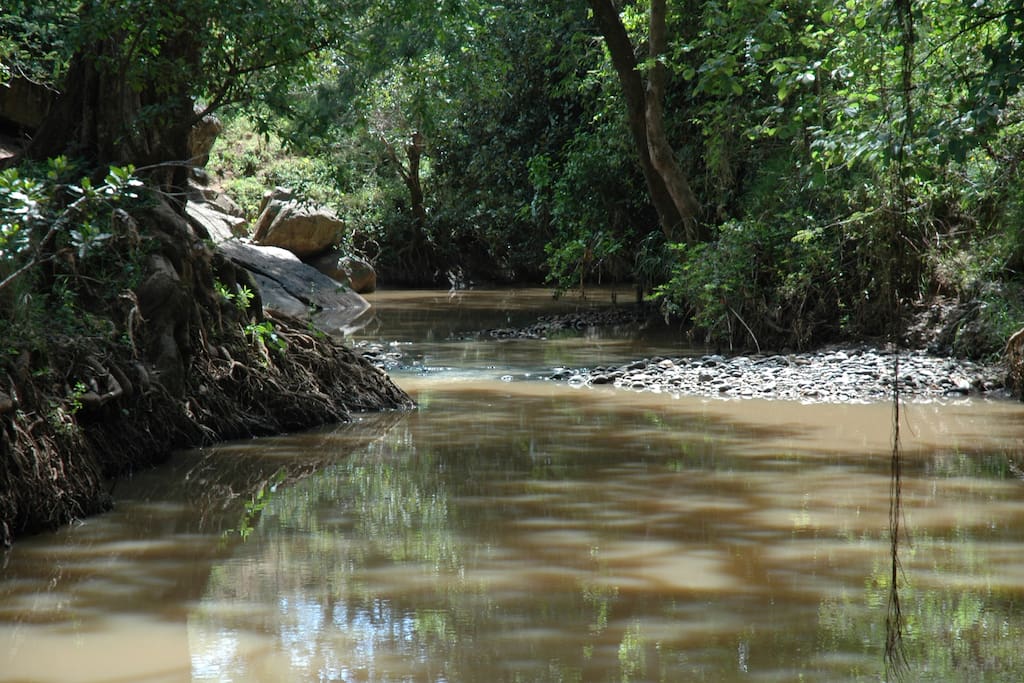 Timau River at Tandala Ranch
