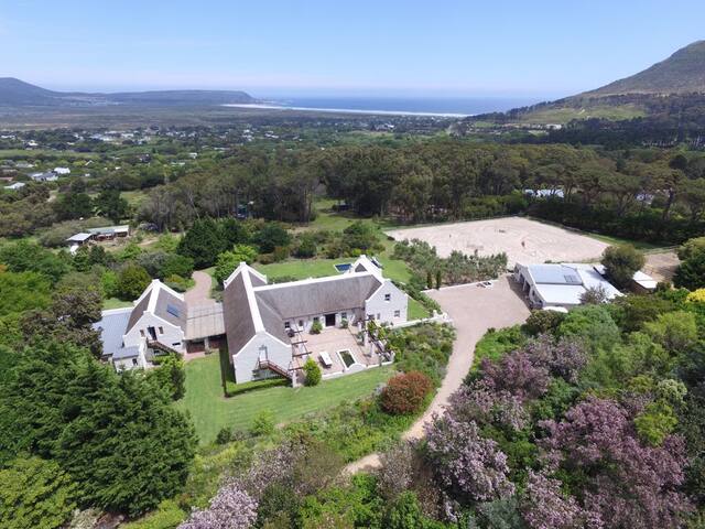 Bridlewood Manor House – The Green Room gallery image 2