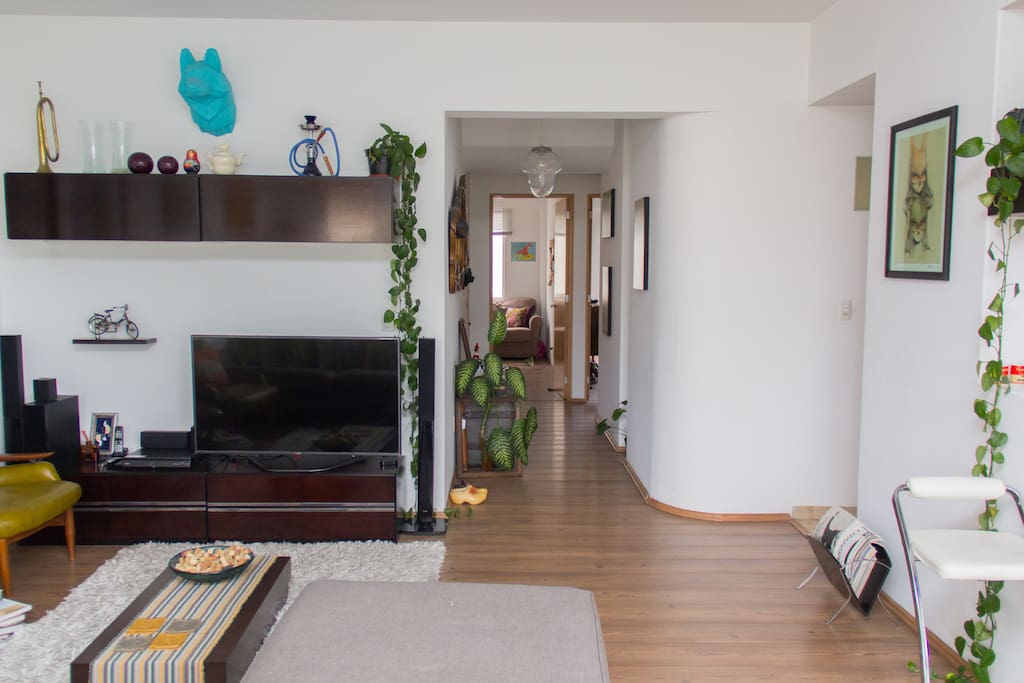 Large living room