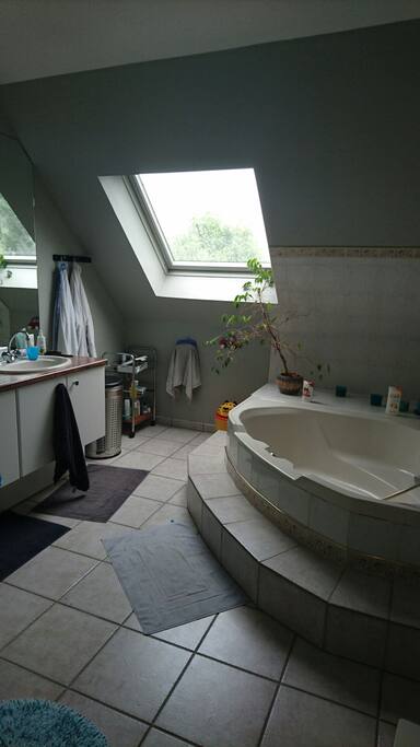 La salle de bain ( avec douche)