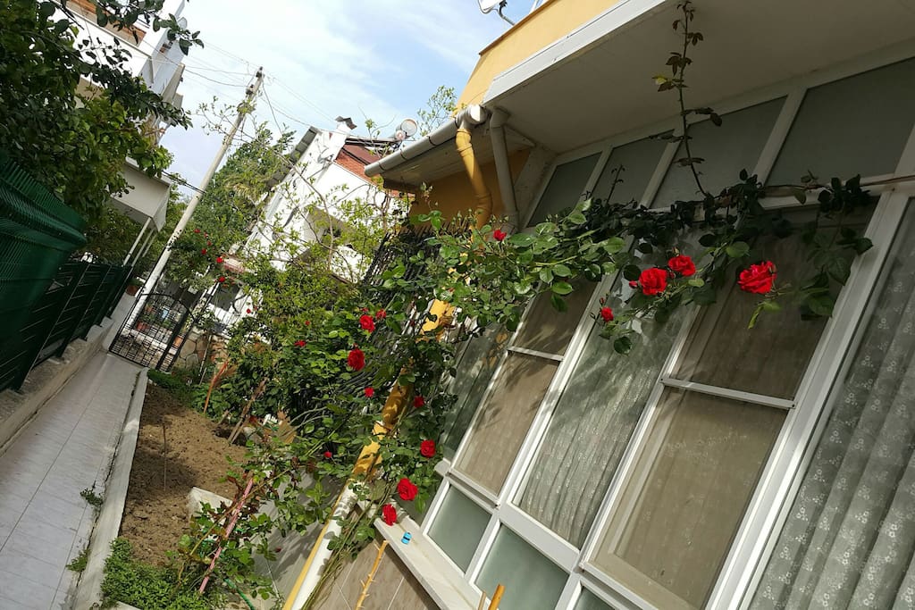 bina girişi, bahçe