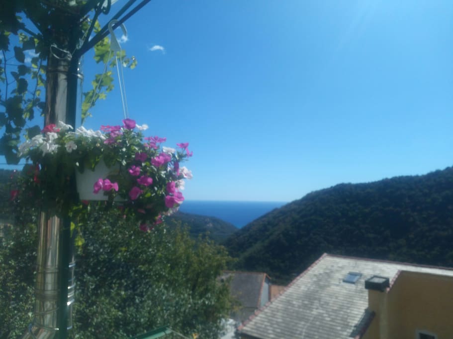 View from the terrace
