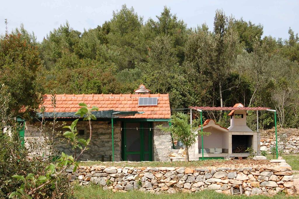 The house