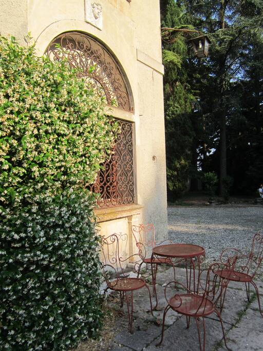 Peaceful corner in the garden