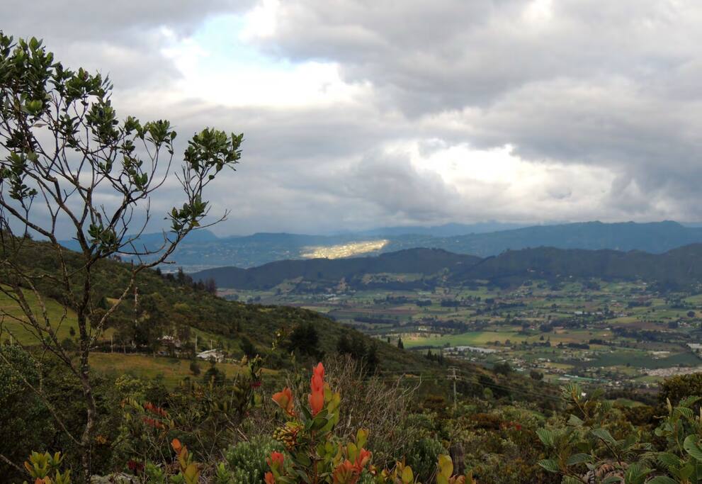 Lookout View
