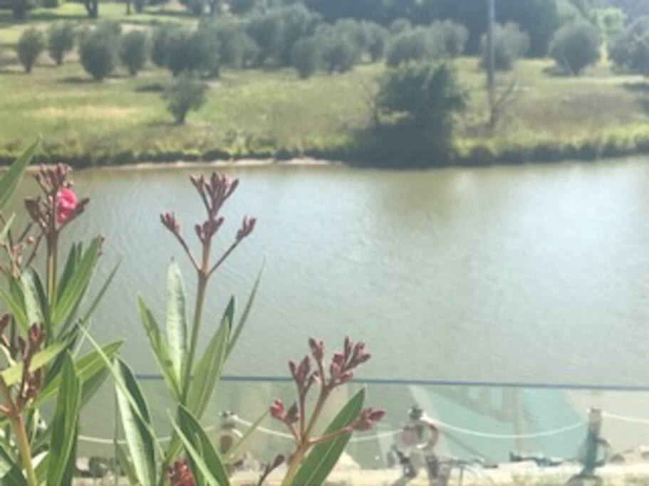 Water Views