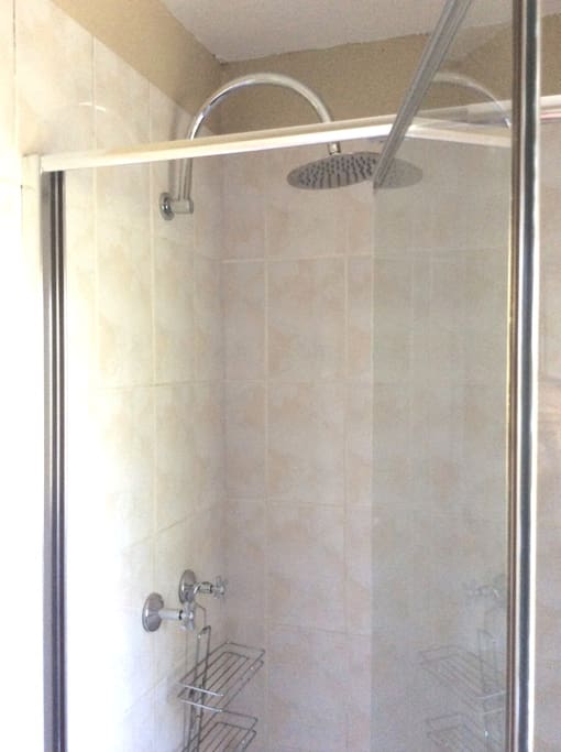 shower with rain shower head