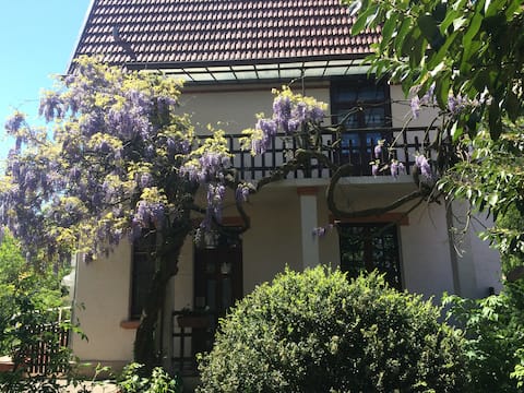 Charming country house with idyllic garden