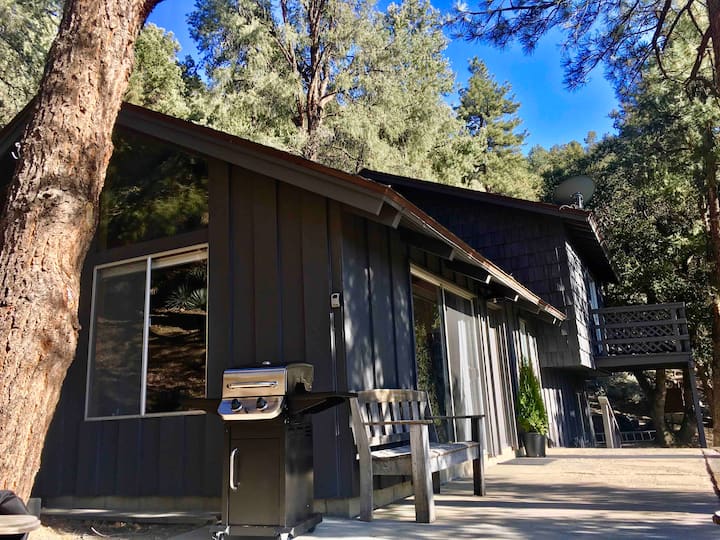 Mount Pinos Cabins Cabins and More Airbnb