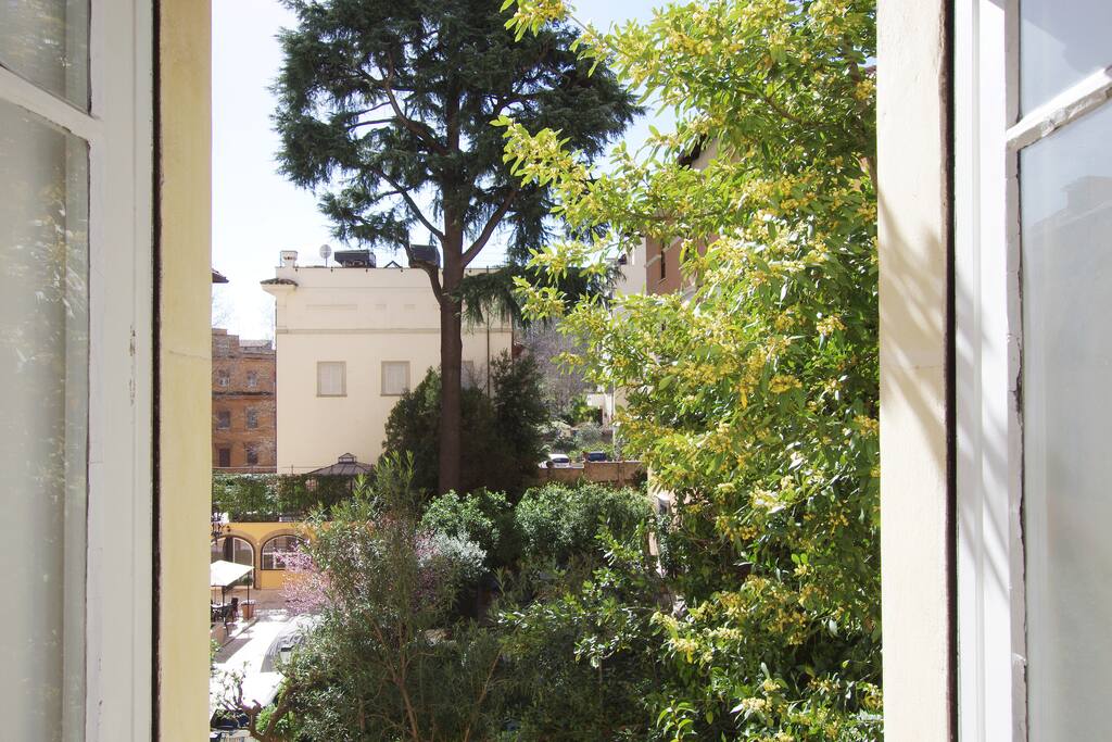 from your window of bedroom
