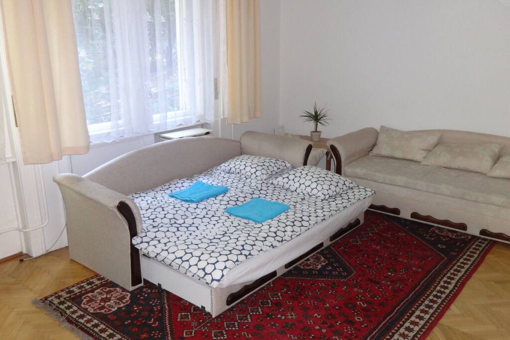 Living room or (2nd bedroom)