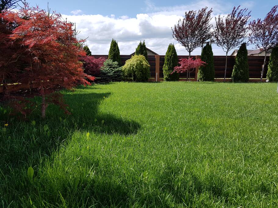 Feel free to enjoy the greenery