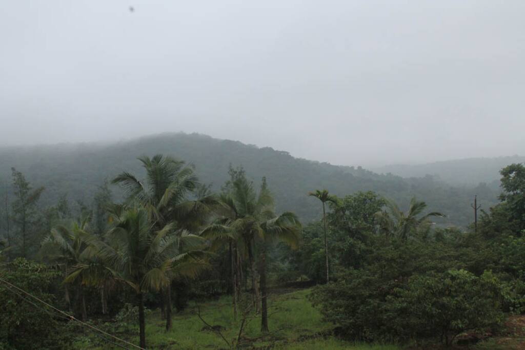 Beautiful Valley View From The Balcony