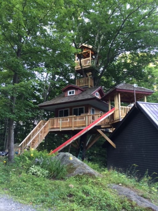 Tree House for exploration and views