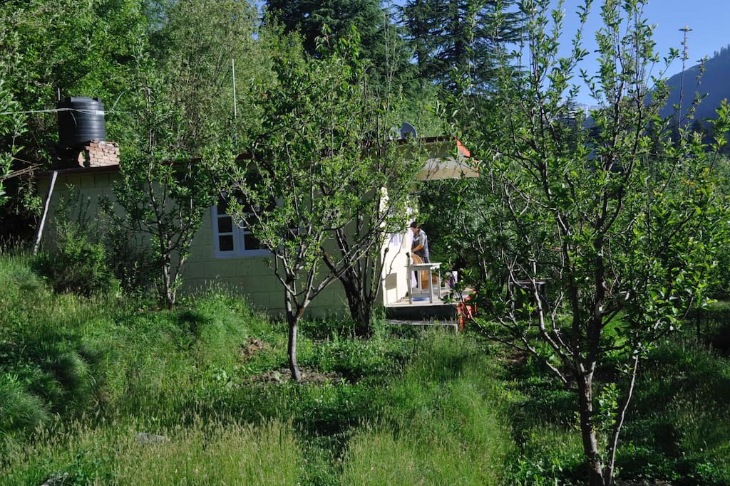 Apple Orchard House - Guest houses for Rent in Manali ...