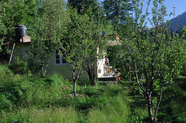 Apple Orchard House Guest Houses For Rent In Manali Himachal Pradesh India