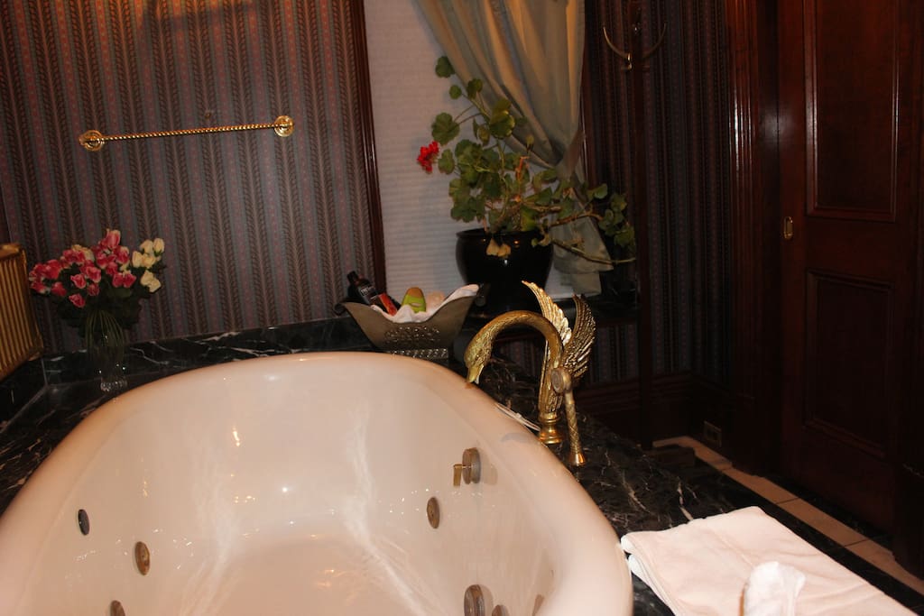 Soacious jacuzzi with one of kind swan faucets