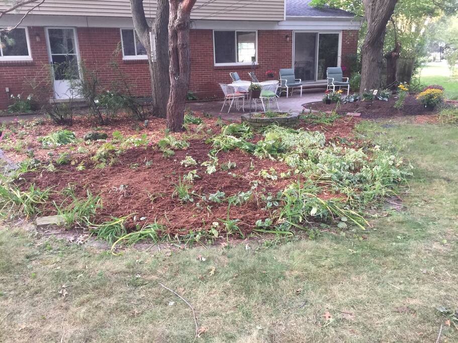 View from backyard toward house