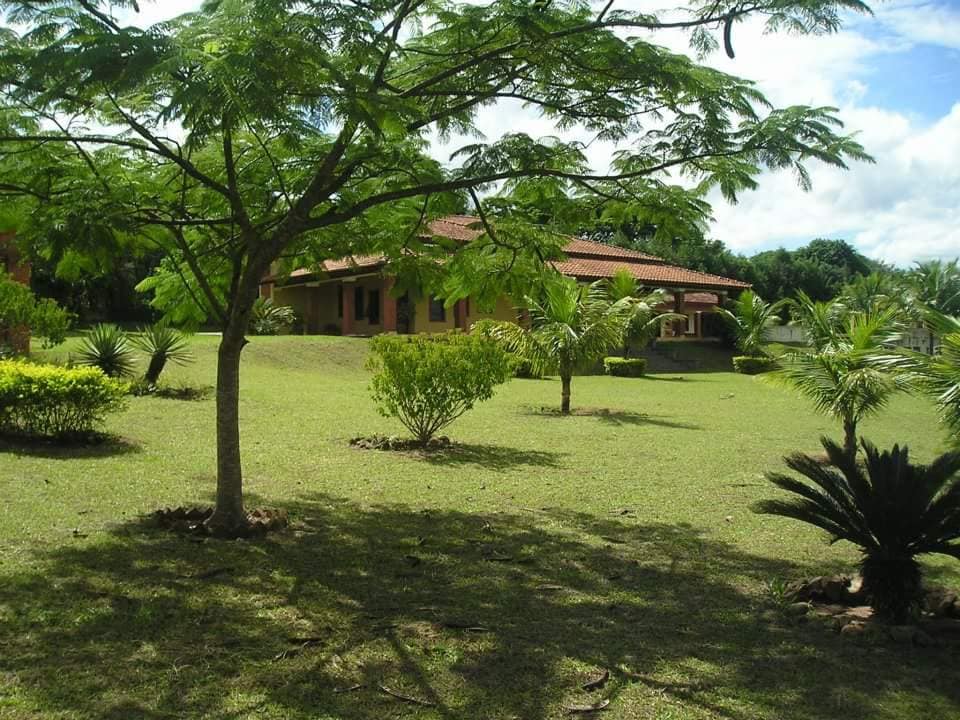 A spacious outdoor area is framed by lush greenery and trees. The main house, featuring a clay tile roof, is visible in the background. Low shrubs and ornamental plants enhance the landscape, creating a serene environment for relaxation.