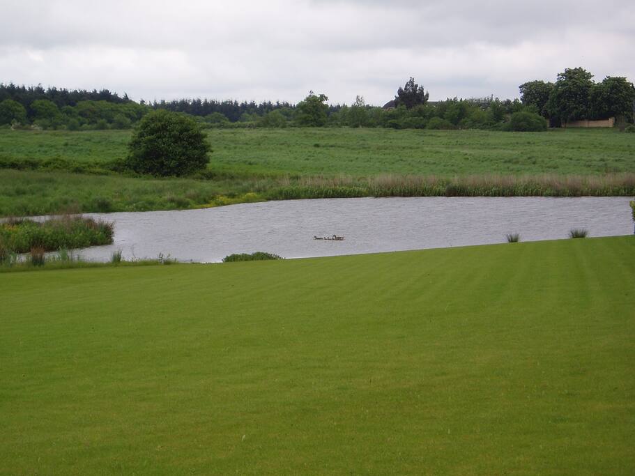 "We really enjoyed our stay here, a spacious room in a large modern farm house. The views were stunning, the welcome warm, and the room comfortable. We'll definitely be returning, thanks Mike & Charlotte for your attentive hosting." - Lynda (5 stars)