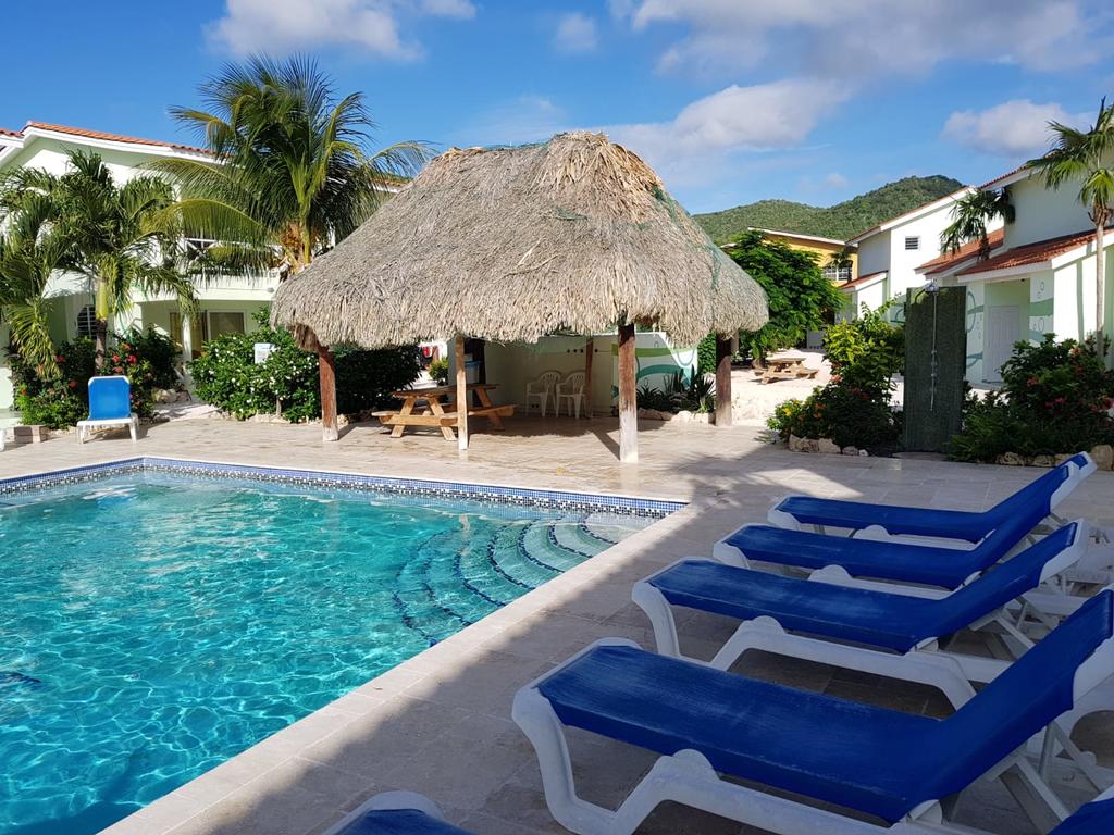 A tranquil outdoor pool area features a thatched-roof gazebo surrounded by lush greenery. Lounge chairs in bright blue line the poolside, emphasizing the inviting swimming space. The scene is accented by palm trees and the backdrop of nearby buildings reflected under a clear blue sky.