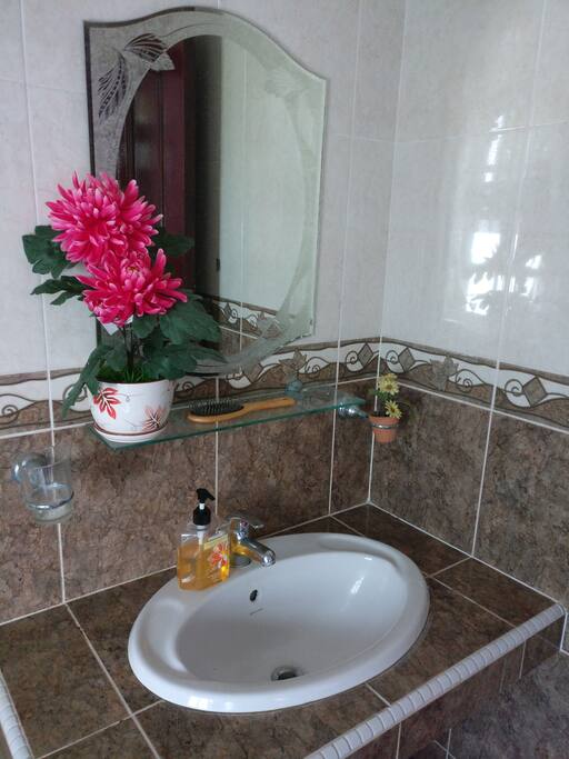 Bath sink