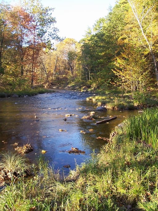 Creek