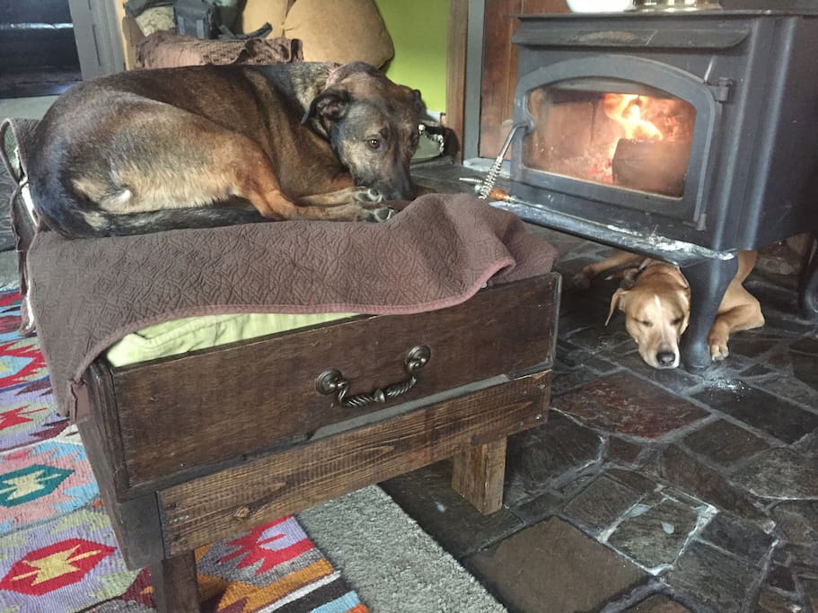 Our dogs Roofus & Clover will be staying next door with Jhon. They love being pet and are also great guard dogs.