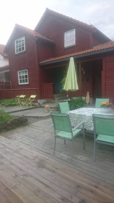 backyard
