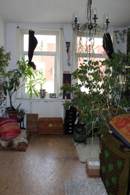 Blick ins Zimmer
