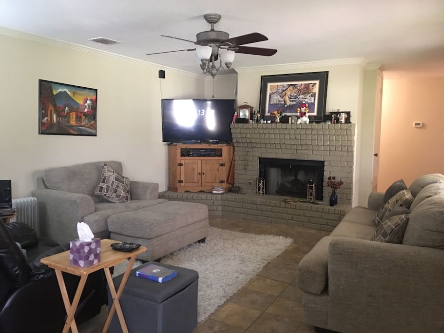 The Den with Roku Television