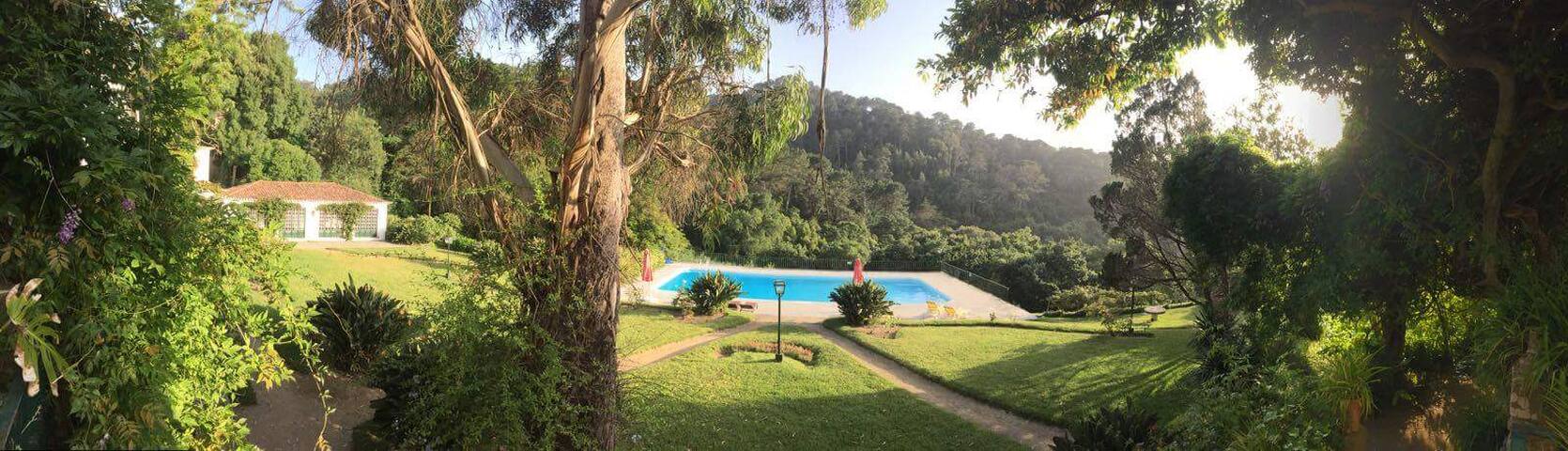 Quinta de São Thiago – Guest House gallery image 5