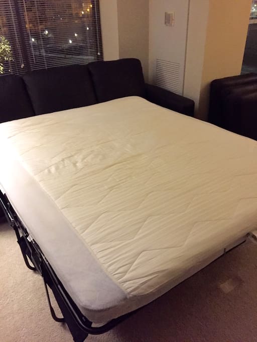Queen size BRAND NEW pullout couch, very comfortable